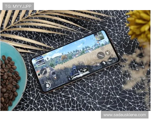 星城电游官网游戏种类丰富多样满足不同玩家的多样需求