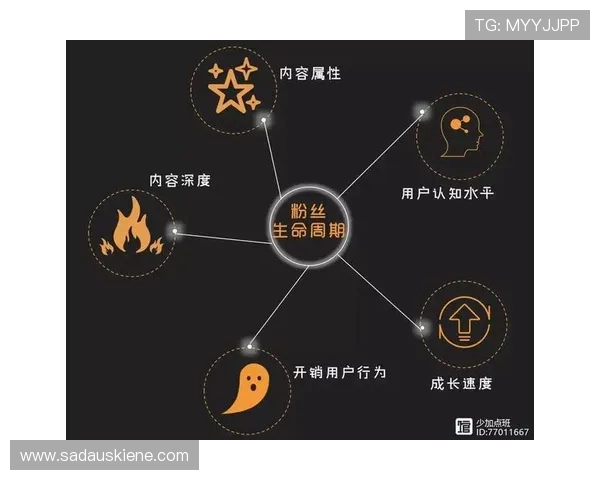 新罗娱乐：利用新媒体技术提升品牌影响力的有效路径